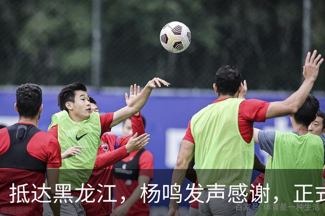 抵达黑龙江，杨鸣发声感谢，正式上任，亮相新岗位，赵继伟祝福